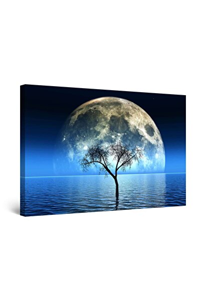 startonight Tablou DualView Startonight Luna si Oceanul Albastru, 60 x 90cm