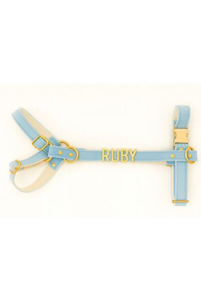 Pawsim Kişiye Özel Isimli H Model Ayarlanabilir Kadife Köpek Göğüs Tasması - XS-S-M-L+ Gezdirme Kayışı Set