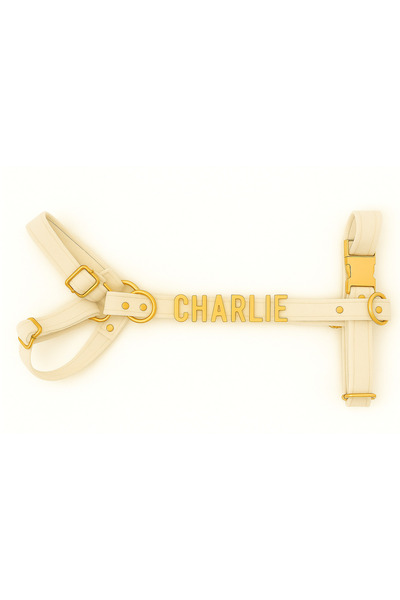 Pawsim Kişiye Özel Isimli H Model Ayarlanabilir Kadife Köpek Göğüs Tasması + Gezdirme Kayışı Set KREMRENGİ