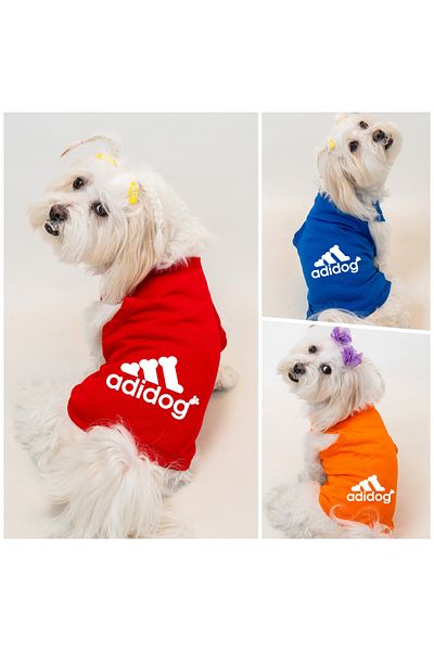 Buddy Store Cat & Dog Outfit Clothes Clothes - Adidog Printed Package Series 3 Pieces Single Price