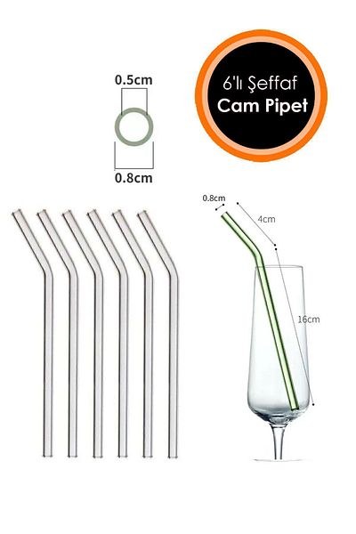 Bundera Transparent 6-Piece Glass Curved Straws | Glass Pipette
