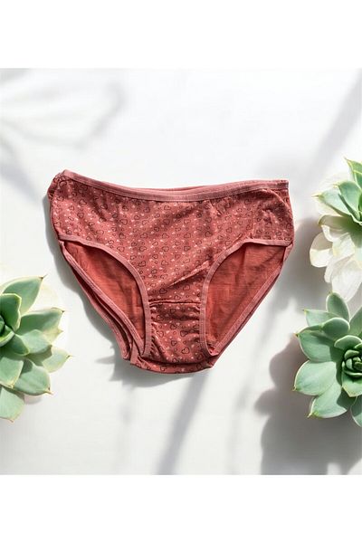 Emsay Store 3-Piece Women's High Waist 100% Cotton Panties