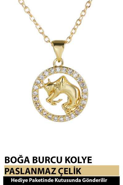 Nehir 12 Burç Sembolü Zirkon Taşlı Zarif Kadın Paslanmaz Altın Kaplama Çelik Burç Kolye