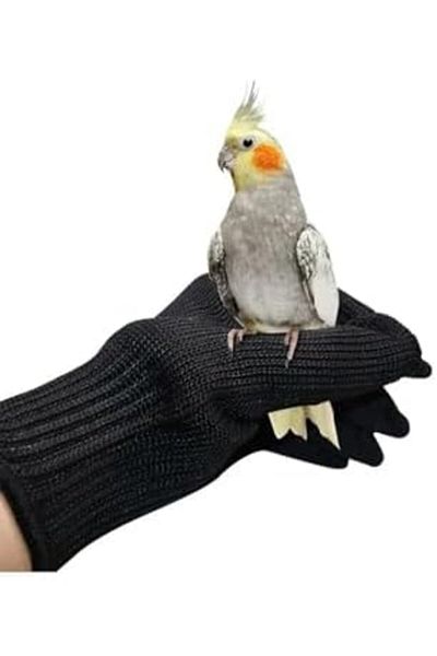 L&Wen Bird Training Anti Bite Gloves, Small Animal Handling Cockatiel, 1 Pair