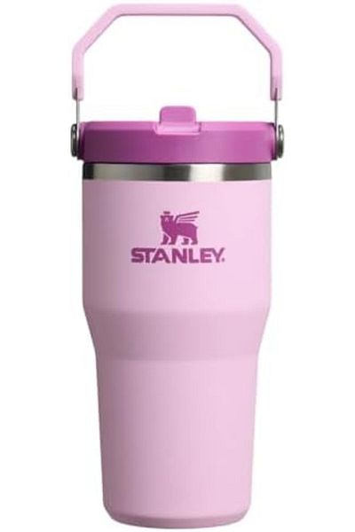 Stanley Ice Flow Go 600ml/20oz Flip Straw Water Bottle Cherry Blossom