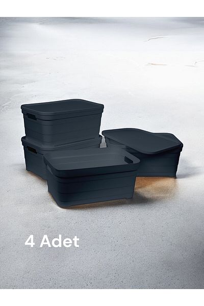 Nesto Home Set of 4 Multi-Purpose Colorful Box with Lid Office Organizer 4X10.8 Liters