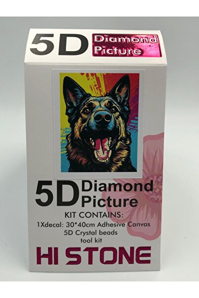 DUCK HOBY 30x40 Boncuklu Taş İşleme Mozaik Elmas Goblen Tablo Resim Boncuk Puzzle Dıamond Paıntıng Hı Stone