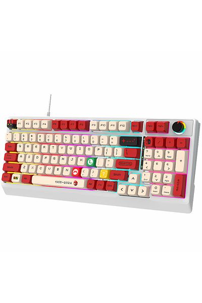 LUDORA Mechanical Gaming Keyboard, Rainbow RGB Lighting, USB Cable, Mechanical Switch, 98 Buttons