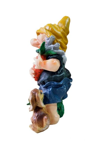 BV Decorative statuette, Dwarf, Multicolor, 48 cm, DVG0148P