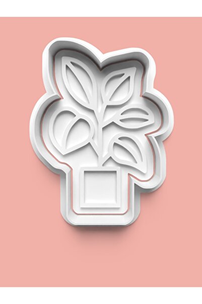 AKTASTORE قالب بسكويت نبات الغرفة وقالب عجينة السكر