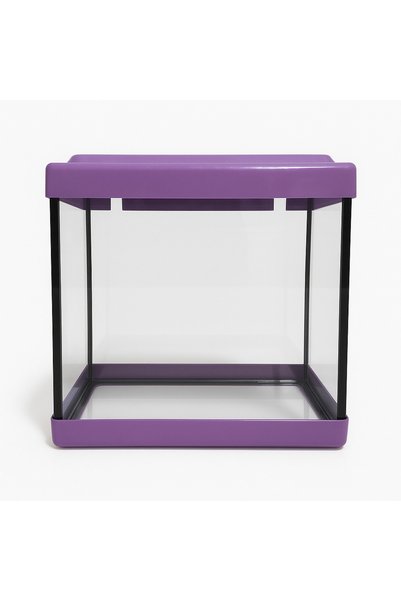 Pawsome Palace Mini Masaüstü Akvaryum 23x20x12 cm – Betta ve Küçük Balıklar İ...