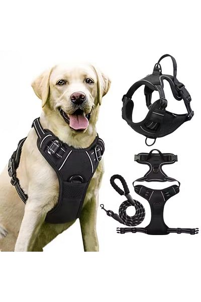 LUDORA LUDORA® Dog Harness and Leash Set, Soft Lining, Breathable Material, Comfortable