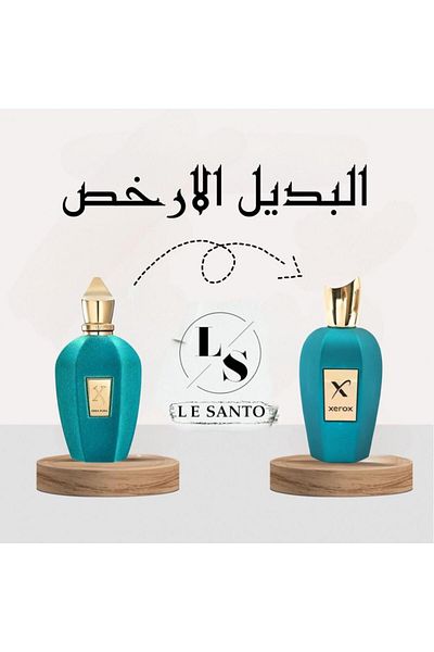 XEROS Alternative fragrance Xerox Eau de Parfum - 100ml