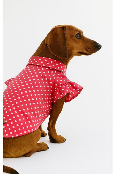 Luli Pet Polka Dot Dog Shirt