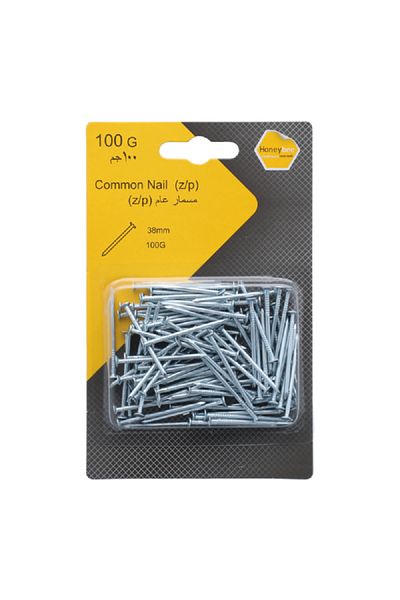 HONEYBEE Rust Resistant Zinc Plated Steel Common Nails Silver 38mm
