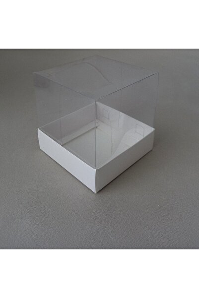 BOXSTATION 10x10x10 Asetat Kapaklı Kutu 5 Adet