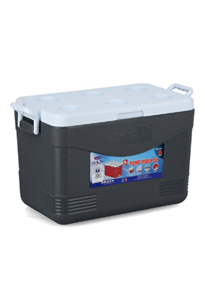 Cosmoplast Keep Cold BPA-Free Picnic Ice Box with Handle Grey 46 Liter