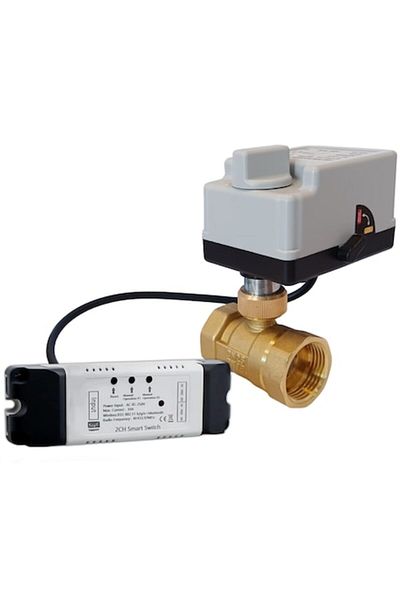 Daver Two-way rotary valve 1" with rapid servo motor, 230V/50Hz, WiFi control