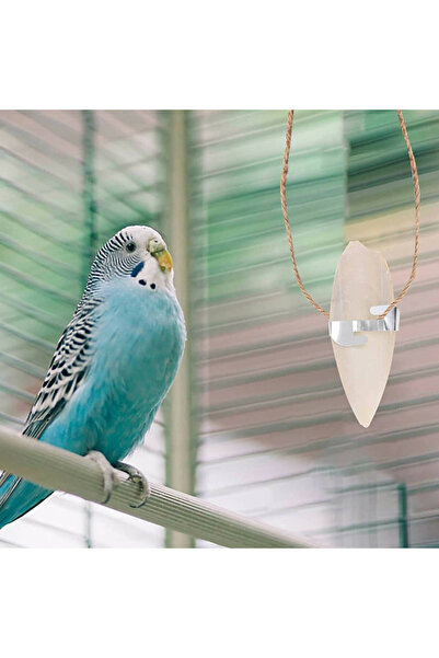 Others Natural Mineral Rich Cuttlefish Bone for Birds 1 pc