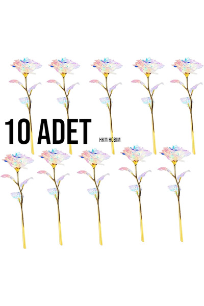 HKM Hobim وردة إنفينيتي غير الباهتة - شراء متعدد 10 قطع |   هدية معنى |   عيد...