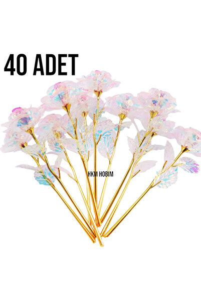 HKM Hobim وردة إنفينيتي غير الباهتة - شراء متعدد 40 قطعة |   هدية معنى |   عي...