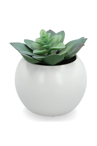 Atmosphera Succulent Artificial Plant with Pot Multicolor 13cm