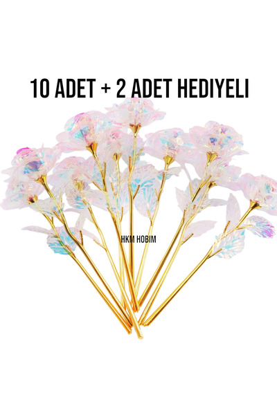 HKM Hobim وردة إنفينيتي غير الباهتة – 10 قطع مع هدية |   هدية معنى |   عيد ال...