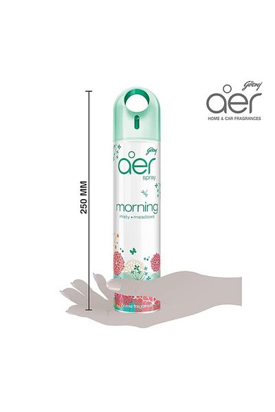Godrej aer Air Freshener Spray Morning Misty Meadows 300 ml - (Pack of 2)