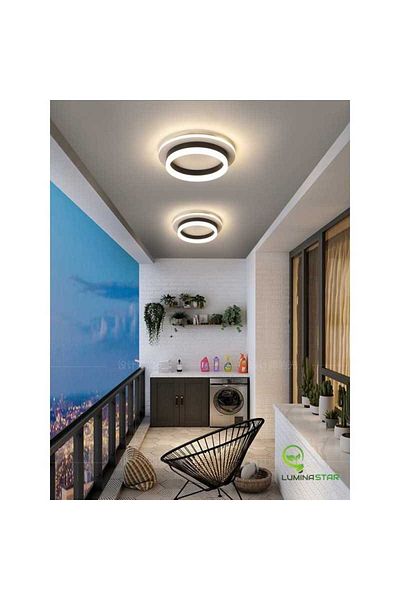 Jiju Ceiling Light Black 30 W Round LED Warm Neutral Cool Light