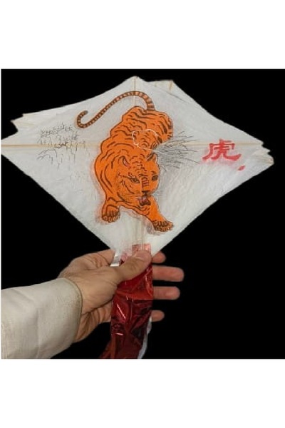 Other 3 pieces of light paper glider with different prints