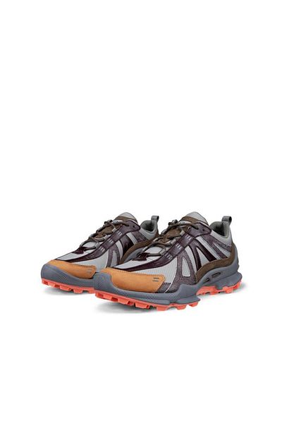 Ecco ECCO Biom C-Trail M Steel