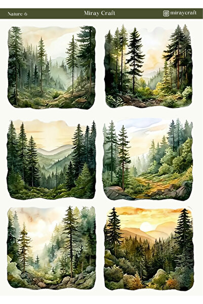 MirayDesign 1 autocolant tematic natură (12x17 cm) pentru Bullet Journal, alb...