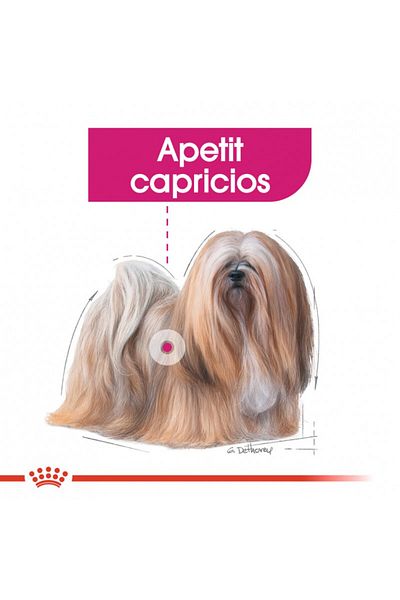 Royal Canin Hrană uscată Royal Canin Mini Exigent pentru câini de talie mică cu apetit ridicat, 3 kg