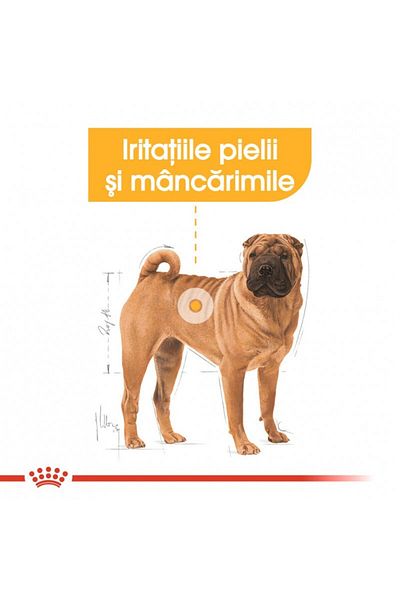 Royal Canin Hrană uscată pentru câini Royal Canin Medium Dermacomfort pentru prevenirea iritațiilor pielii, 12 kg