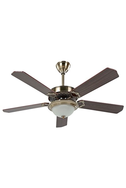 BELIANI Koyu Kahverengi Işıklı Tavan Vantilatörü,Uzaktan Kumandalı, Zamanlayıcılı, Cam Işıklı Vintage Tasarı