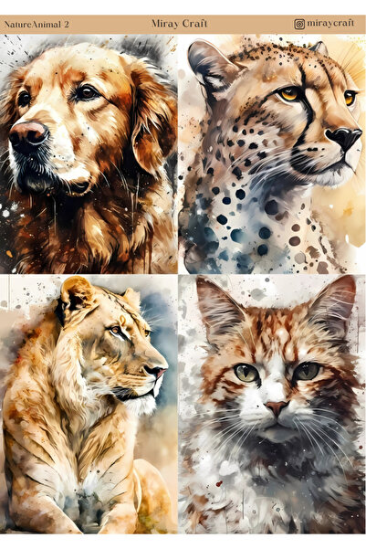 MirayDesign 1 autocolant cu tematică natură și animale (12x17 cm) pentru Bull...