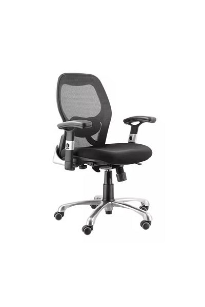 rexa Ergonomic Office Chair – Comfortable Adjustable Chair for Home & Workplace Use