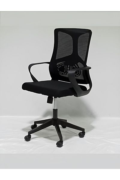 rexa Ergonomic Office Chair – Comfortable Adjustable Chair for Home & Workplace Use