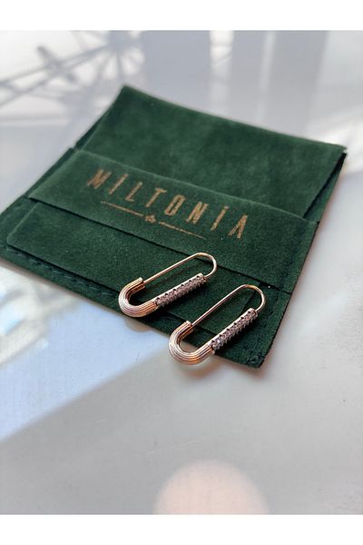 Miltonia Bronze Hook Steel Earrings