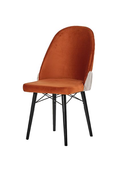 Desire Colezyon chair, first-class hornbeam frame, durable wooden legs