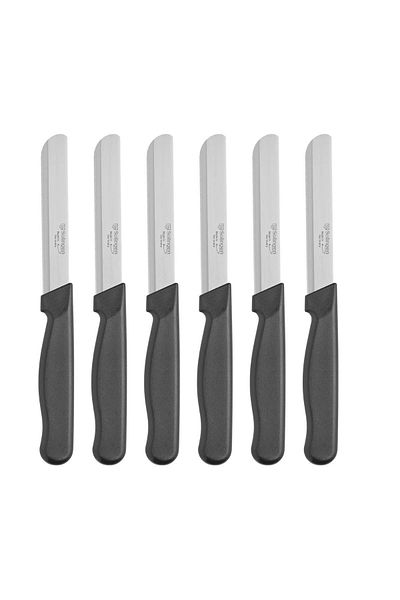 Meturas Set of 6 Flat Fruit Knives – Handle, Stainless Steel, Ergonomic and Sharp