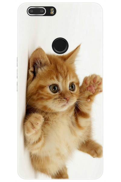 Vestel Venüs Z20 Uyumlu Kılıf Desen Baskılı Silikon Sevimli Kedi STK:205 CP-S...