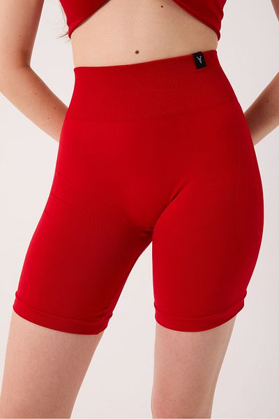 cervus Amara High Waist Tummy Control Seamless Shorts