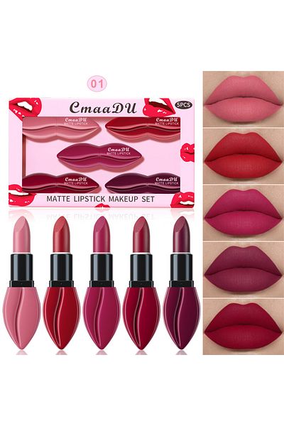 cmaadu 5 Colors Matte Lipstick Makeup Set, Velvet Long Lasting Waterproof Lip Makeup Gift Set for Women
