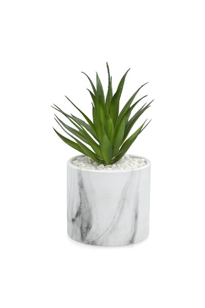 Atmosphera Lightweight Realistic Flat Base Artificial Plant with Marble Pot White and Green