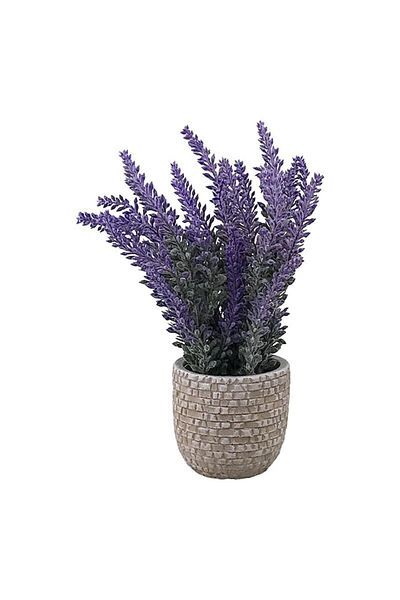 Blusmart Ghiveci din ceramica cu lavanda din plastic, 10x20 cm, M1