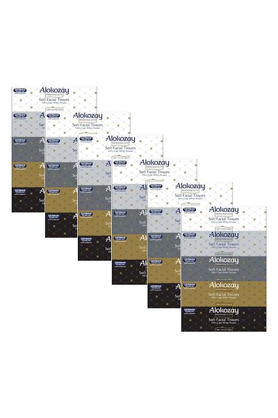 Alokozay SOFT FACIAL TISSUE 130 X 2 PLY WHOLESALE CARTON 30 BOXES