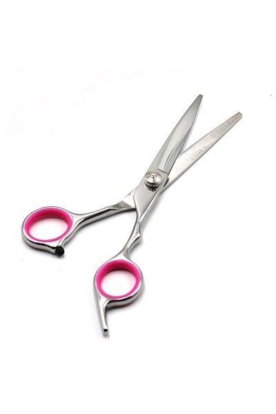 JustZEN Straight Scissors for Grooming Dogs, Cats, and Other Pets, JustZEN™ Professional, Silver, 17 cm