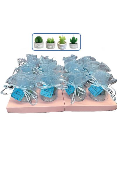OEM Set 12 marturii botez - Lumanare cactus in ghiveci gri + tulle albastru + eticheta