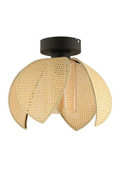 NisaLuce Nisa Luce Lusora Metal Plafonyer avize-4 KANATLI-CAMLI-Hasır Krem